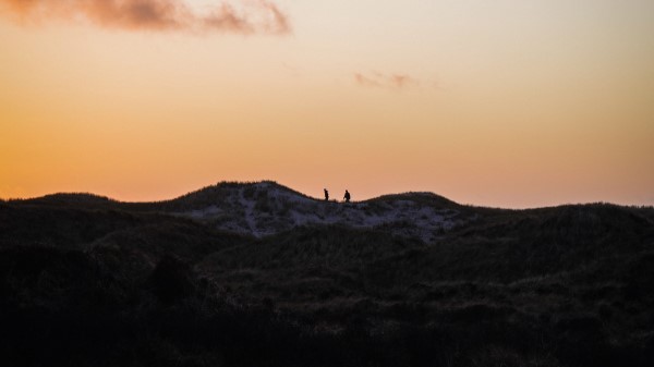 Silhouettes Hill Horizon Wallpaper