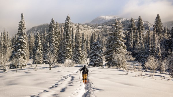Skier Mountains Snow Wallpaper