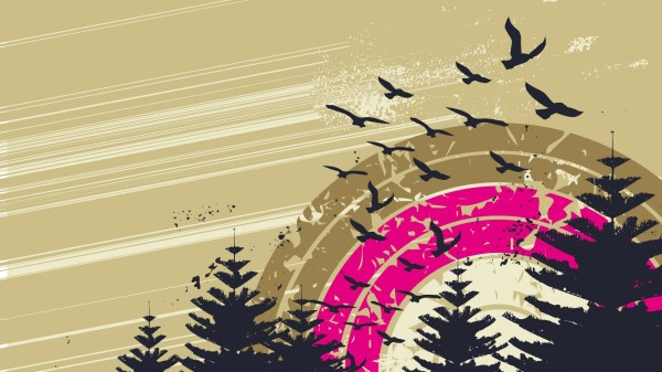 Sky Birds Circles Trees Wallpaper