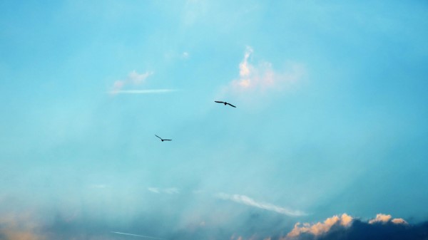 Sky Birds Clouds Wallpaper