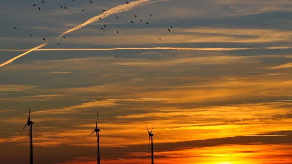 Sky Birds Evening Decline Orange Twilight Landscap Wallpaper