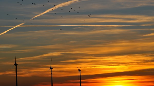 Sky Birds Evening Decline Orange Twilight Landscape Wallpaper