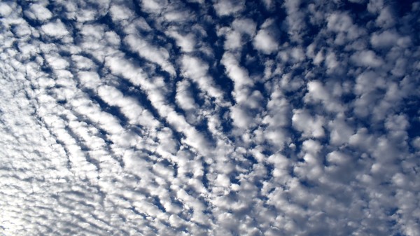 Sky Clouds Curly Wallpaper