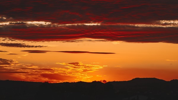 Sky Sunset Trees Image Wallpaper
