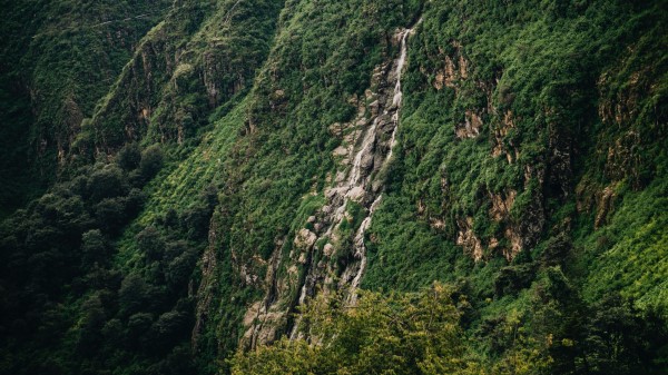 Slope Cliff Trees Green Stones Wallpaper