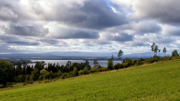 Slope Field Trees Wallpaper