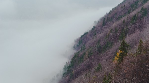 Slope Hill Grass Fog Wallpaper