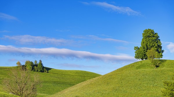 Slope Hills Grass Wallpaper