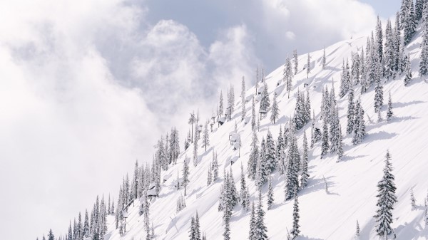 Slope Mountain Trees Wallpaper