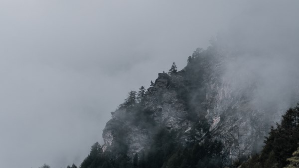Slope Rocks Trees Wallpaper