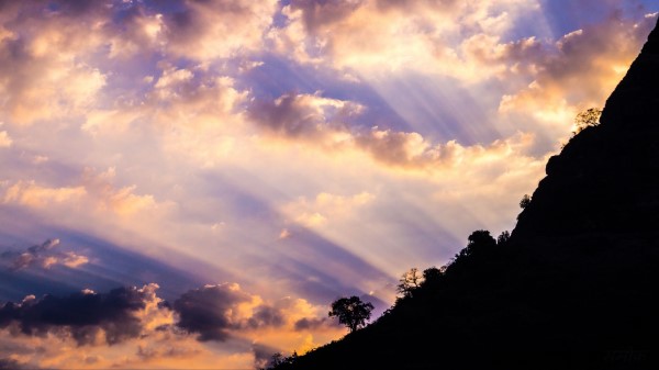 Slope Trees Dawn Wallpaper
