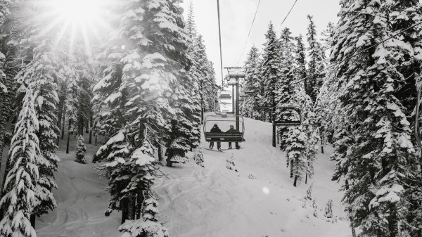 Slope Trees Snow Wallpaper