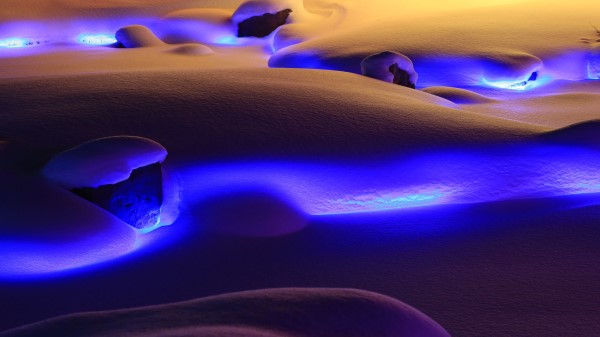 Snow Neon Lights Wallpaper