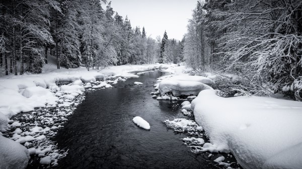 Snow River Forest Wallpaper