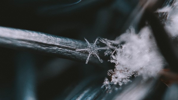 Snowflake Macro Closeup Wallpaper