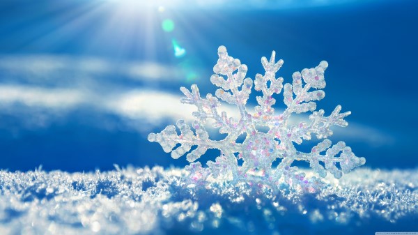 Snowflakes Background Wallpaper