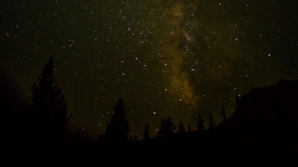 Space Starry Sky Trees Wallpaper