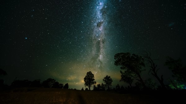 Space Trees Starry Sky Wallpaper