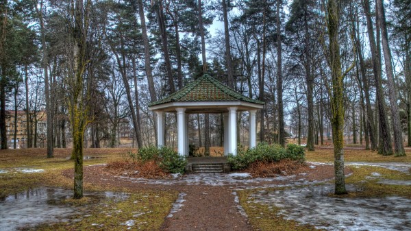 Spring Park Trees Landscape Wallpaper