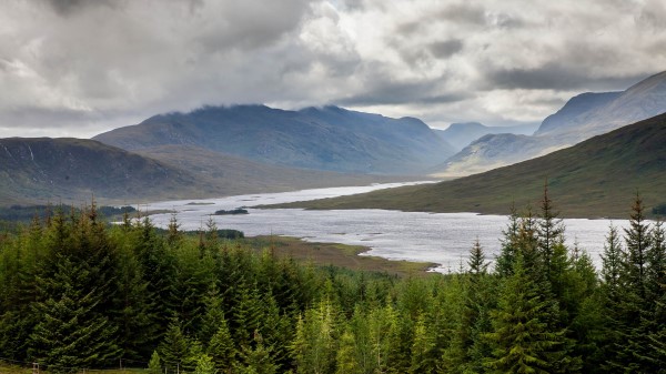 Spruce Lake Slope Wallpaper