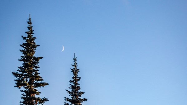 Spruce Moon Sky Wallpaper