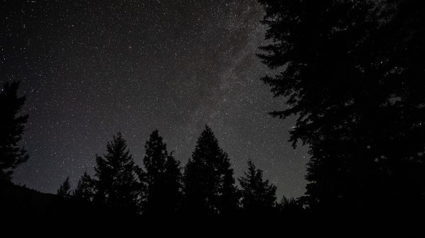 Spruce Night Stars Image Wallpaper