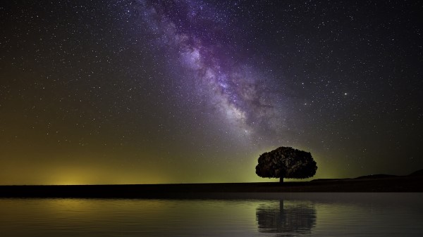 Starry Sky Milky Way Tree Image Wallpaper