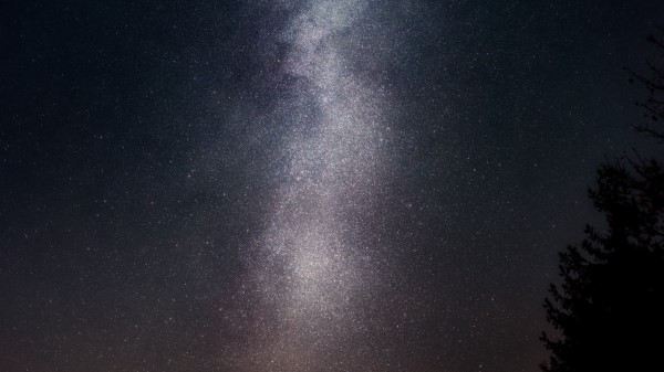 Starry Sky Night Stars Tree Wallpaper