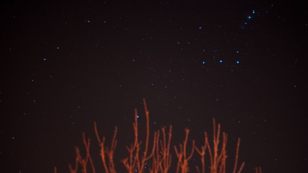 Starry Sky Stars Branches Wallpaper