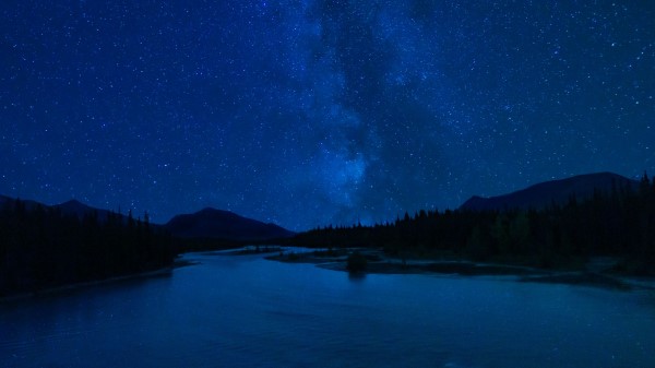 Starry Sky Stars Forest Wallpaper