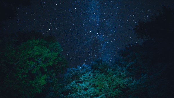 Starry Sky Stars Night Trees Image Wallpaper