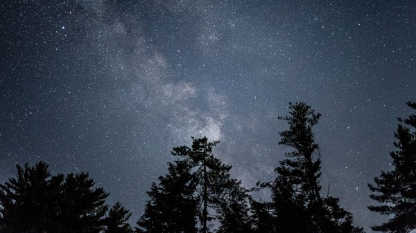 Starry Sky Stars Night Trees Wallpaper