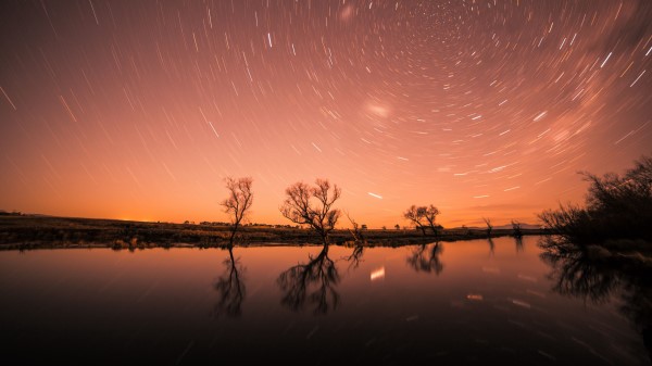 Starry Sky Stars Trees Wallpaper
