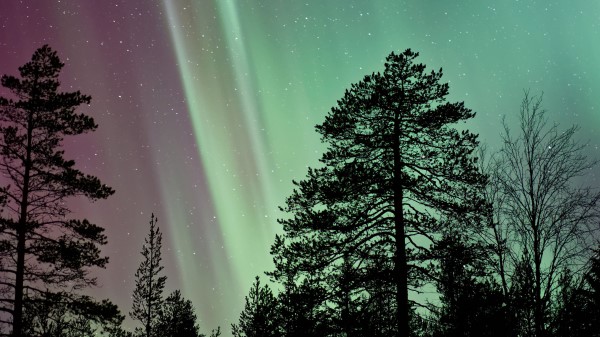 Starry Sky The Trees Northern Lights Wallpaper