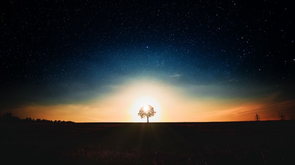 Starry Sky Tree Alone Wallpaper