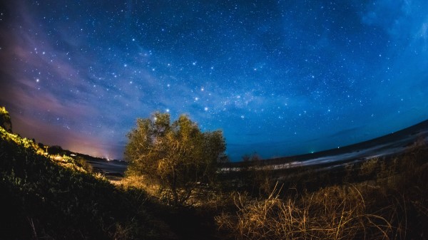 Starry Sky Tree Night Image Wallpaper