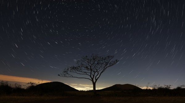 Starry Sky Tree Sky Night Wallpaper
