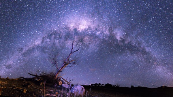 Starry Sky Tree Stars Sky Night Wallpaper