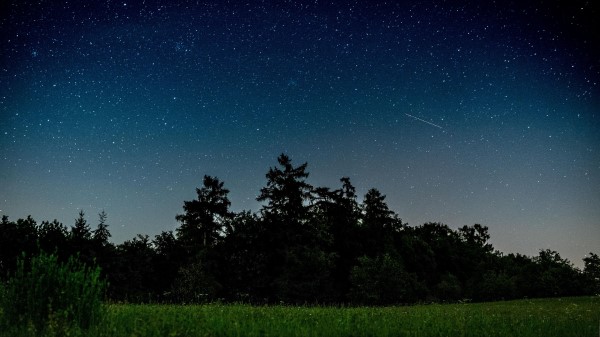 Starry Sky Trees Night H Wallpaper