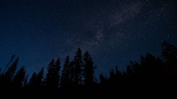 Starry Sky Trees Night Radiance Image Wallpaper