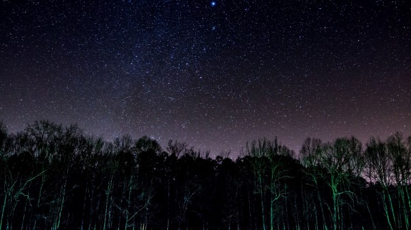 Starry Sky Trees Night Shine Wallpaper