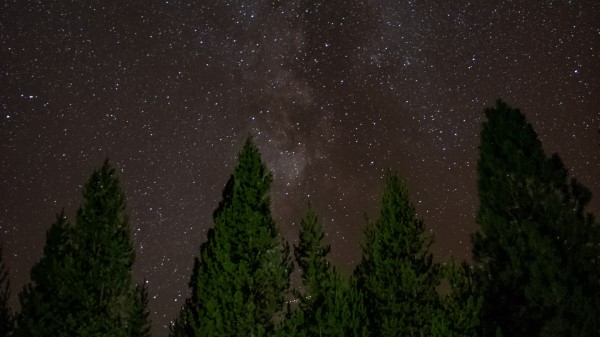 Starry Sky Trees Stars Wallpaper