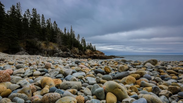 Stones Beach Forest Wallpaper