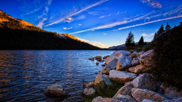 Stones Lake Trees Wallpaper