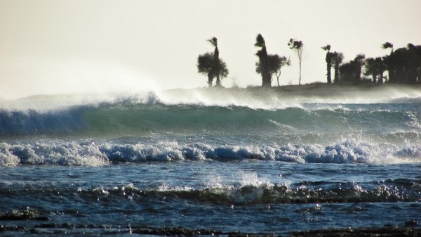 Storm Sea Waves Palm Trees Wallpaper
