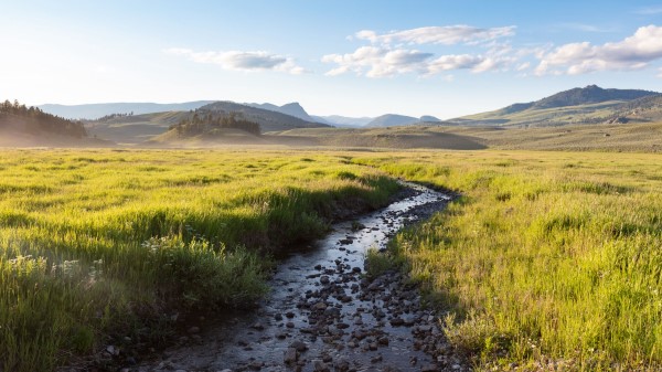 Stream Field Mountains Wallpaper