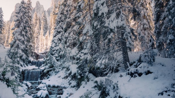 Stream Trees Snow Wallpaper