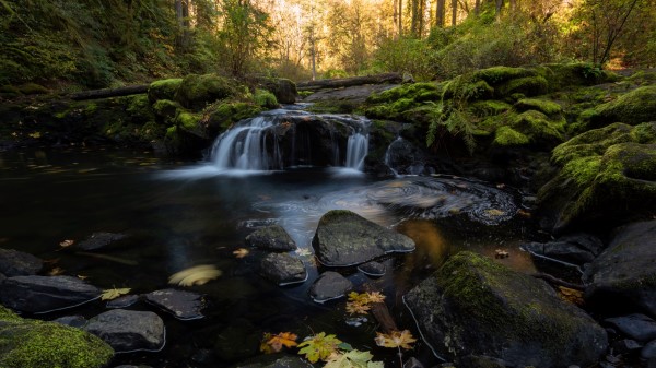 Stream Water Stones Wallpaper