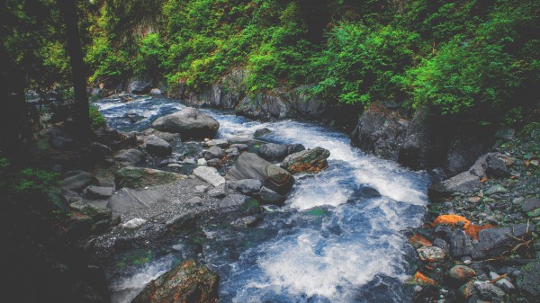 Stream Water Stones Spray Wallpaper