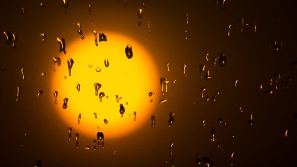 Sun Drops Glass Wallpaper